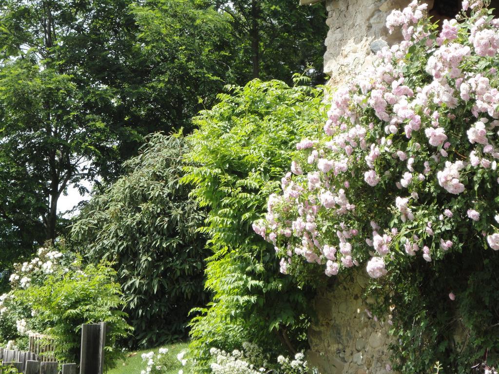 Un Gite De Charme En Haute Provence Villa Sigoyer  Szoba fotó
