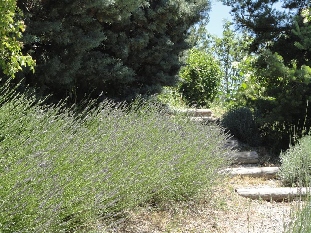 Un Gite De Charme En Haute Provence Villa Sigoyer  Szoba fotó