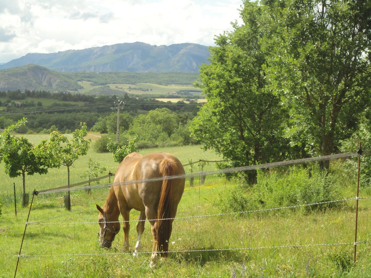 Un Gite De Charme En Haute Provence Villa Sigoyer  Kültér fotó